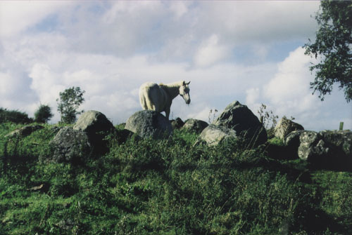 A Stone Cirle at Carrowmore, Co Sligo, Ireland